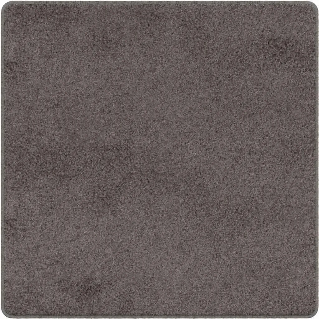 Protection de sol Gris 100x100 cm - Tapis Entrée Tufté Multi-usage