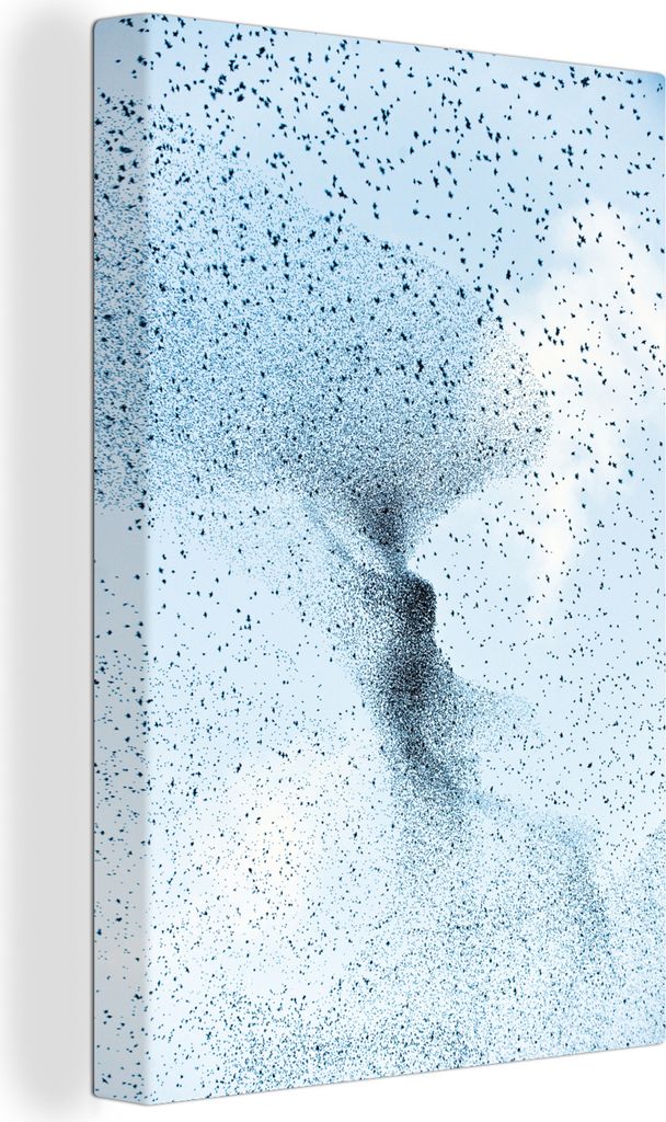 OneMillionCanvasses - Leinwandbilder - 90x140 cm, Ansicht eines Starenschwarms von unten, Wandbilder Kunstdruck Wanddekoration - Wandschmucke - S...