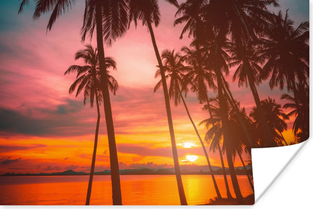 MuchoWow Poster Meer - Palme - Sonnenuntergang - Strand - Silhouette 30x20 cm - Plakate - Print