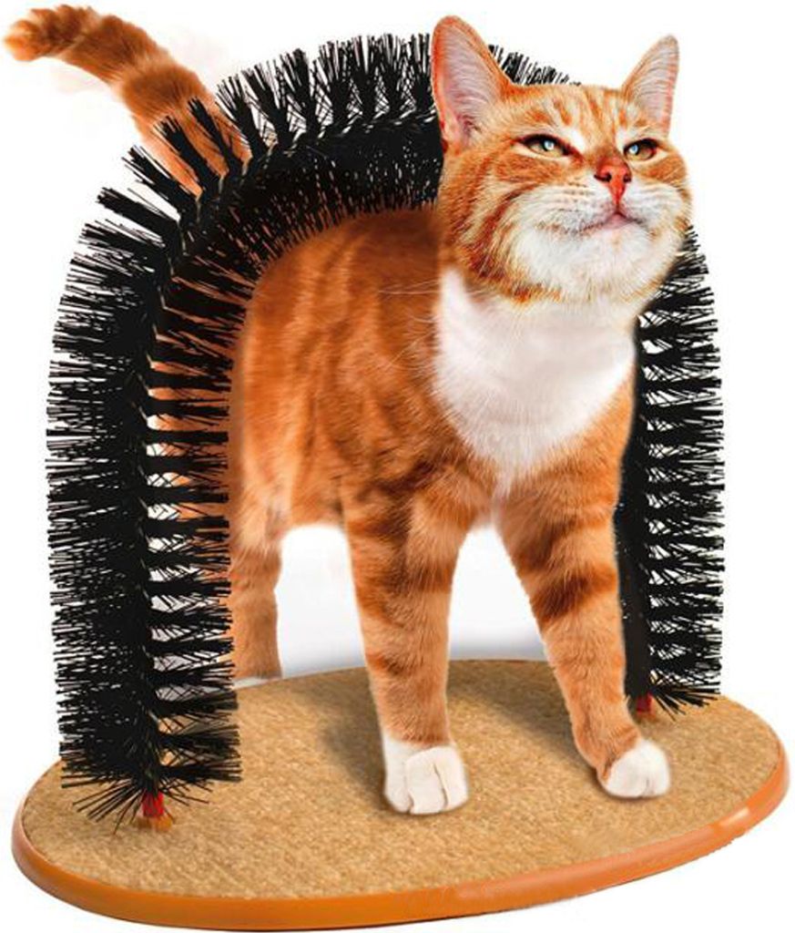Der Cat Arch Massage- und Pflegebogen für Katzen, mit Katzenminze