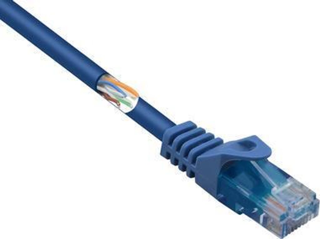 RF-5044020 RJ45 Netzwerkkabel Patchkabel CAT 5e U/UTP 3.00 m Blau 1 St
