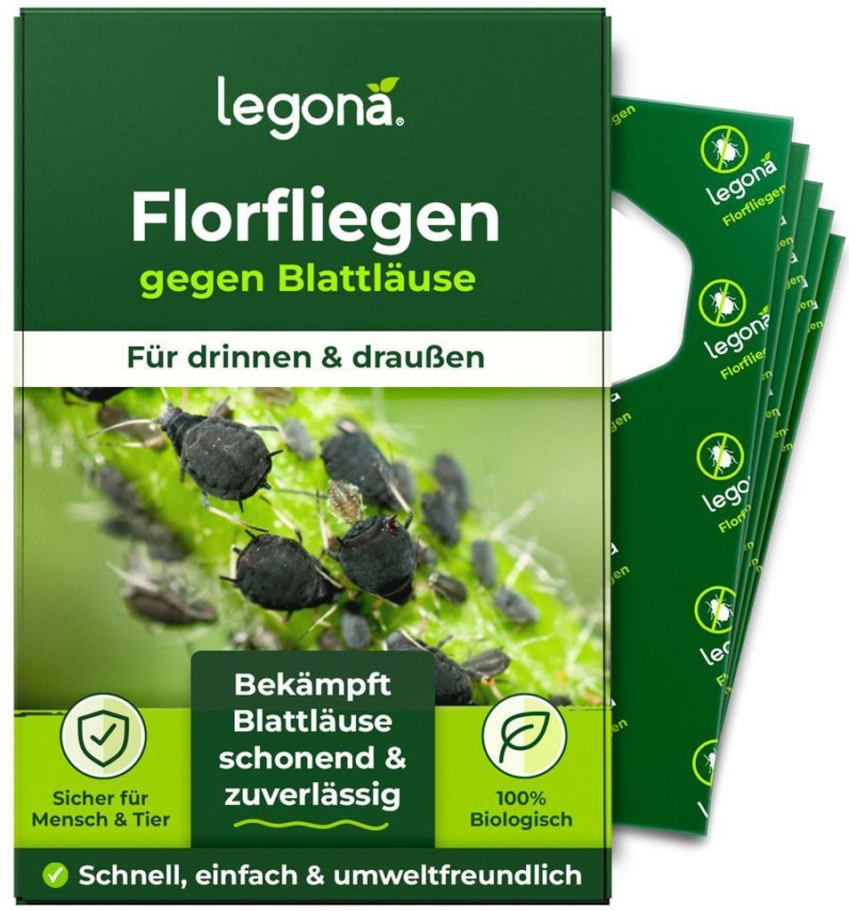 Florfliegenlarven gegen Blattläuse und Thripse - 5 Träger Produktbild 
