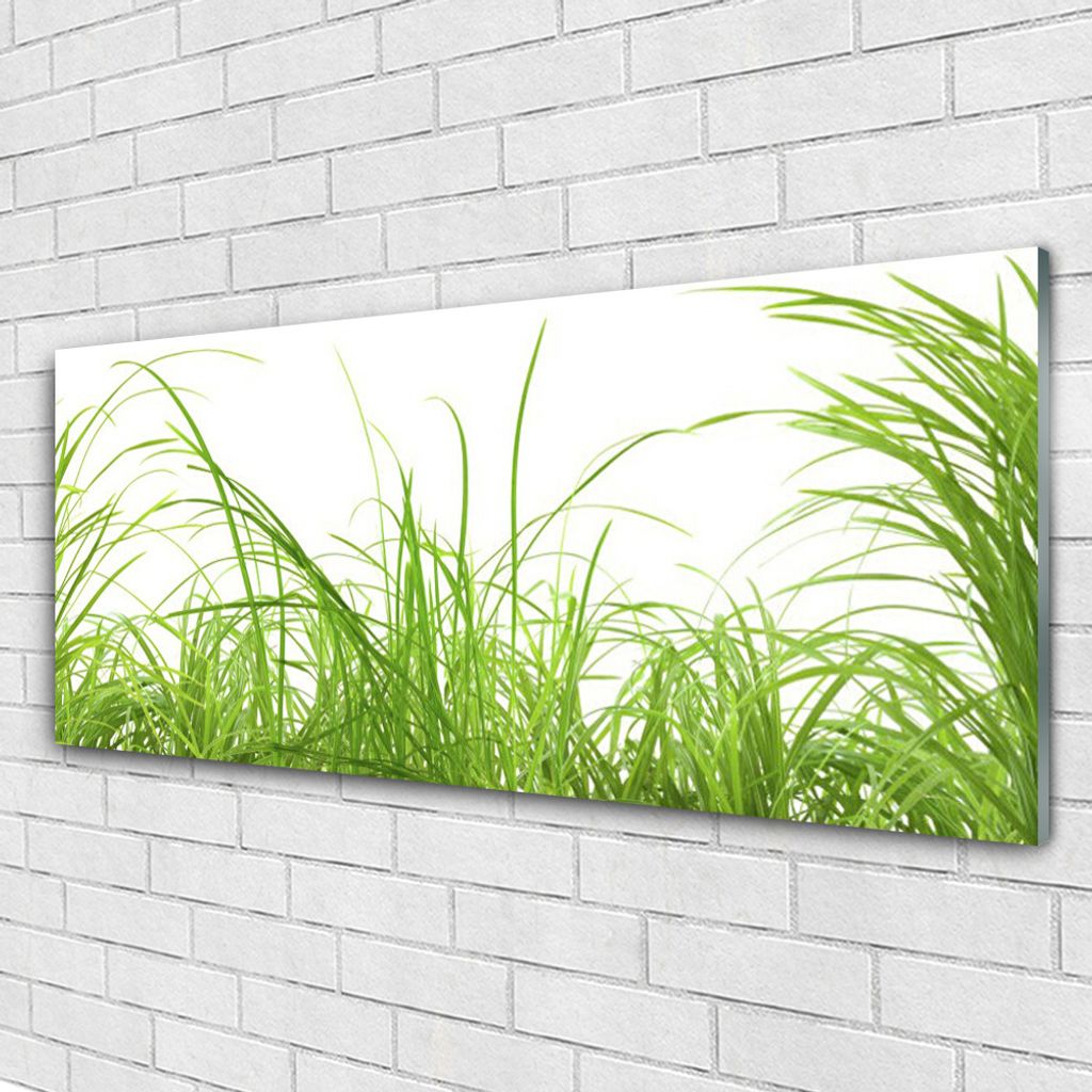 Acrylglasbilder 125x50 Wandbild Druck Gras Natur Produktbild 