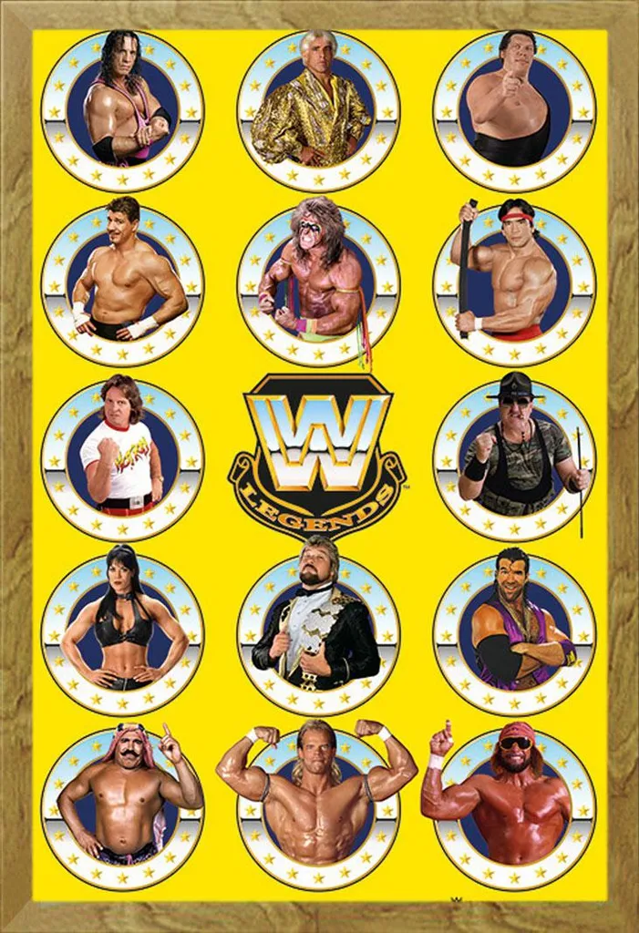 Décoration Murale WWE Legends Chrome pour Chambre ou Salon avec Cadre