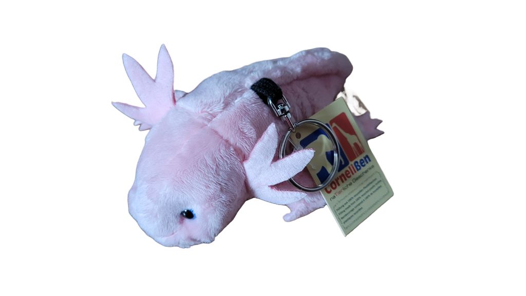 Axolotl ciondolo portachiavi da tasca anfibio tritone rosa Immagine del prodotto 
