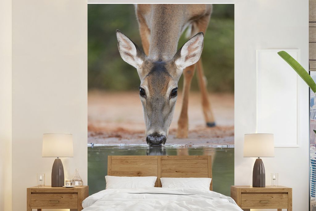 MuchoWow Fototapete für Wohnzimmer oder Schlafzimmer Wandtapete Vinyl Motivtapete Hirsche - Wasser - Trinken - 200x300 cm - Wanddekorationen