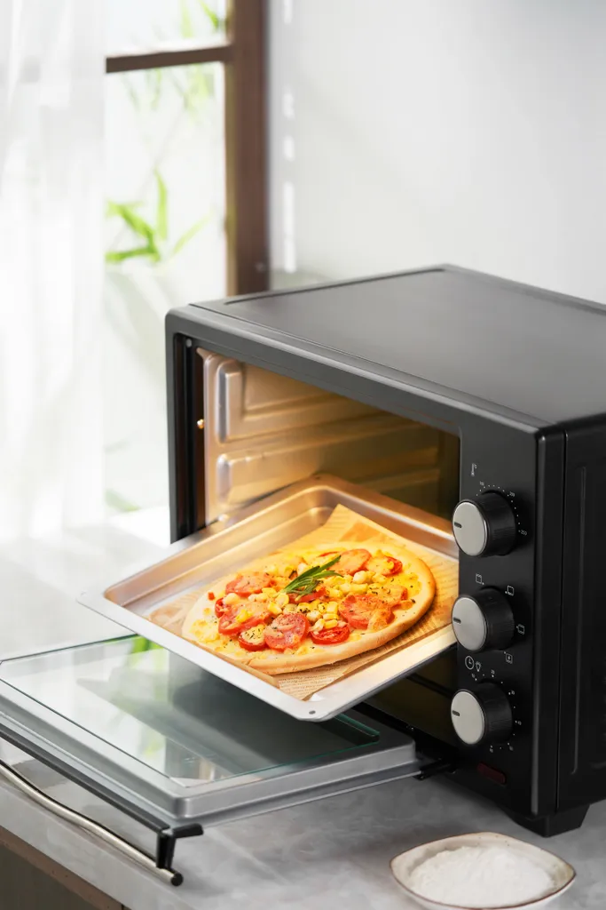 Steinborg SB-3002 Mini Four Électrique 25L Noir - Cuisson Précise - 6