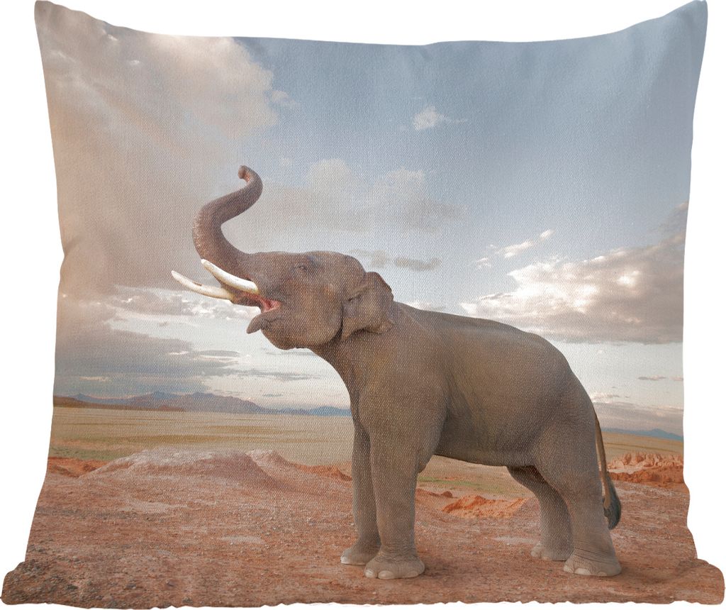 MuchoWow Zierkissen Sofakissen Wohnzimmer Dekokissen 40x40 cm Trompetender Elefant in der Wüste - Foto Kissen - Schlafzimmer Dekoration