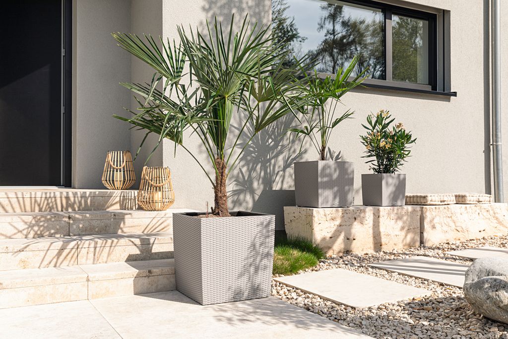 LECHUZA CILINDRO Cottage Pflanzsäule – Sandbraun, 23 Cm, Mit Bewässerungssystem, Ideal Für Garten & Terrasse