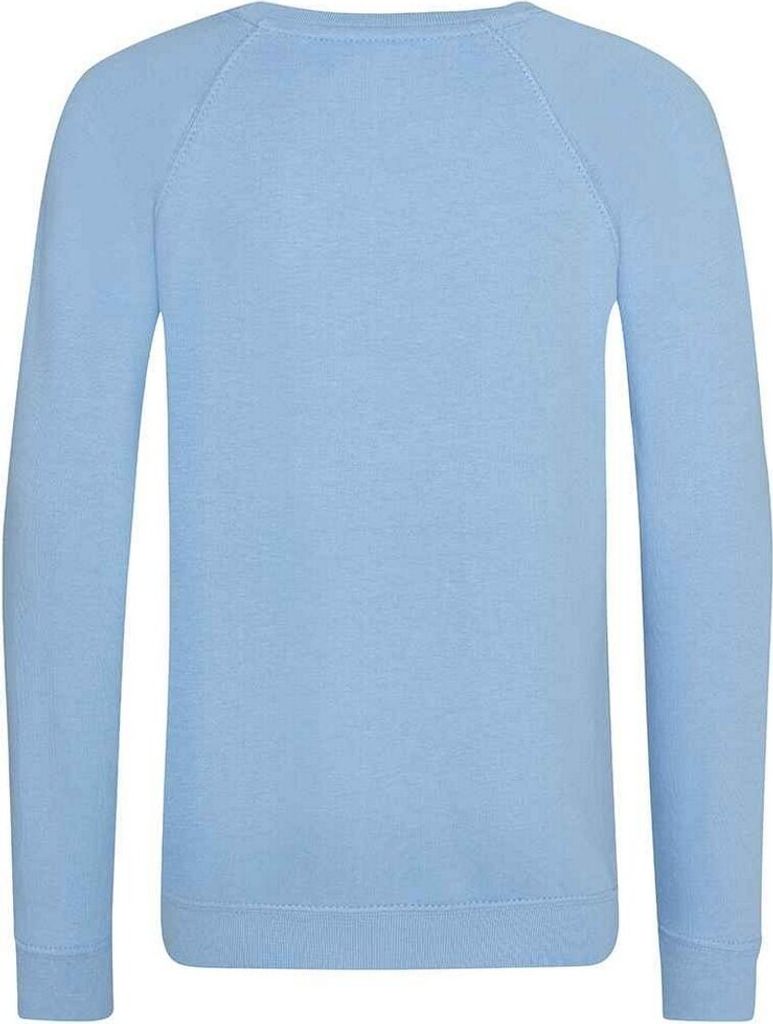 Awdis - "Academy" Sweatshirt für Kinder Raglanärmel PC7139 (158) (Himmelblau)