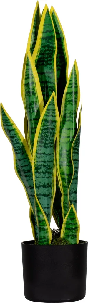 PAPERFLOW Plante artificielle Sansevieria Hauteur 65 cm déco bureau