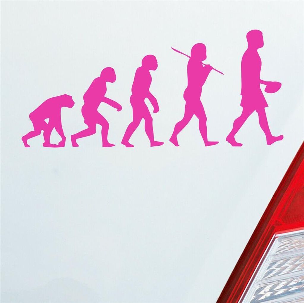 Auto Aufkleber Evolution Football Sport Ball 20x10 cm Pink Sticker Heckscheibenaufkleber
