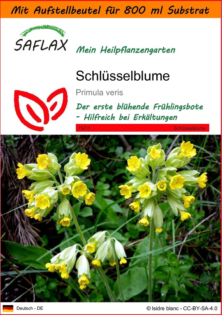 SAFLAX - Garden in the Bag - Heilpflanzen - Schlüsselblume - 100 Samen - Mit Anzuchtsubstrat im praktischen, selbst aufstellenden Beutel - Primula...