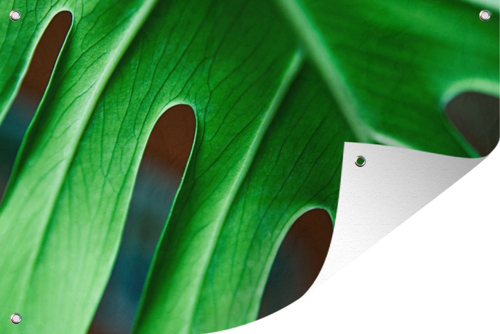 MuchoWow 60x40 cm Outdoor-Poster Gartendeko Sichtschutz Garten Poster für den Garten Lebendige botanische Blätter
