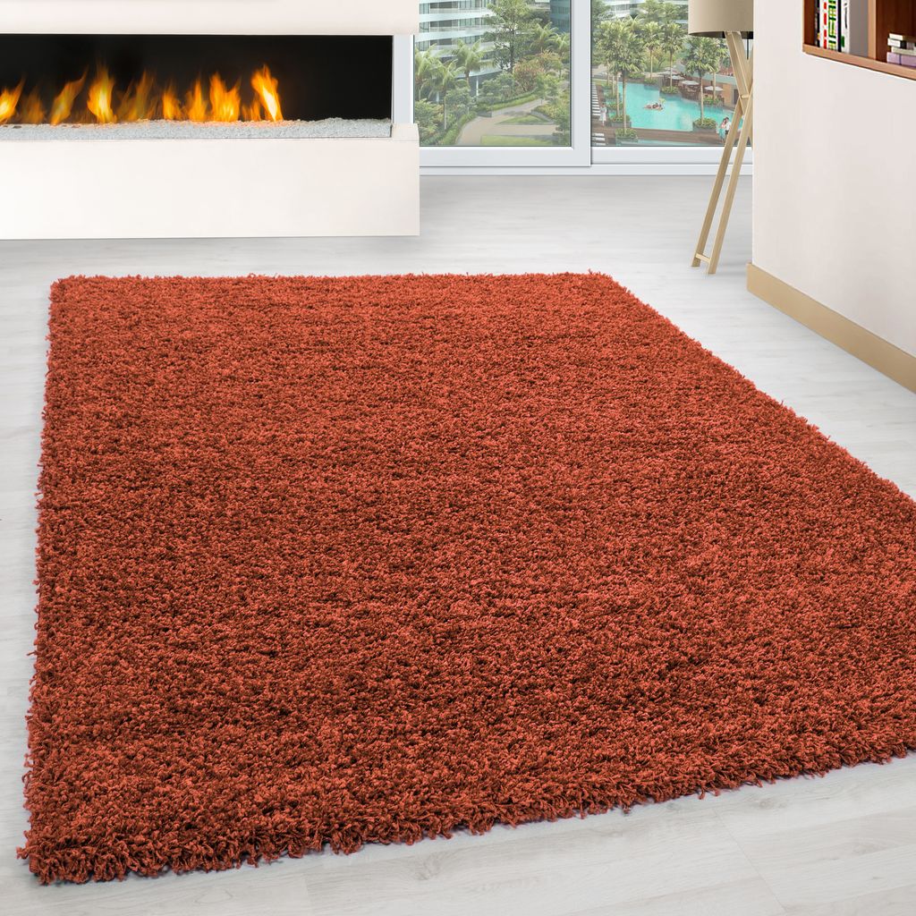 Teppich Wohnzimmer Hochflor Einfarbiges Design Langflor Shaggy Modern Flauschig, Größe: 60 x 110 cm, Farbe: Terrakotta