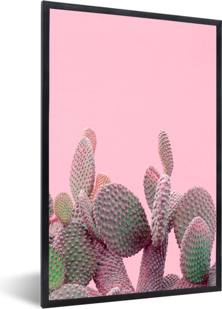 MuchoWow Gerahmtes Poster Kaktus - Pflanzen - Sommer 20x30 cm - Poster mit Schwarzem Bilderrahmen Wandposter Rahmen Foto Bilder - Drucken - Bilde...
