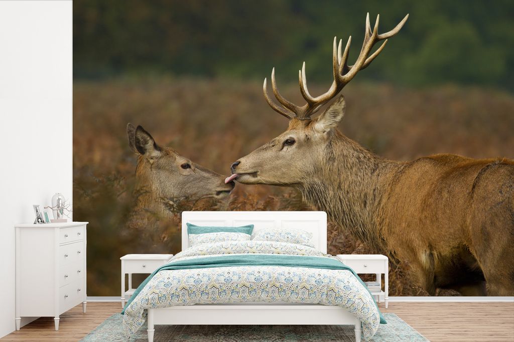 MuchoWow Fototapete für Wohnzimmer oder Schlafzimmer Wandtapete Vinyl Motivtapete Hirsch - Wald - Geweih - 450x300 cm - Gemusterte