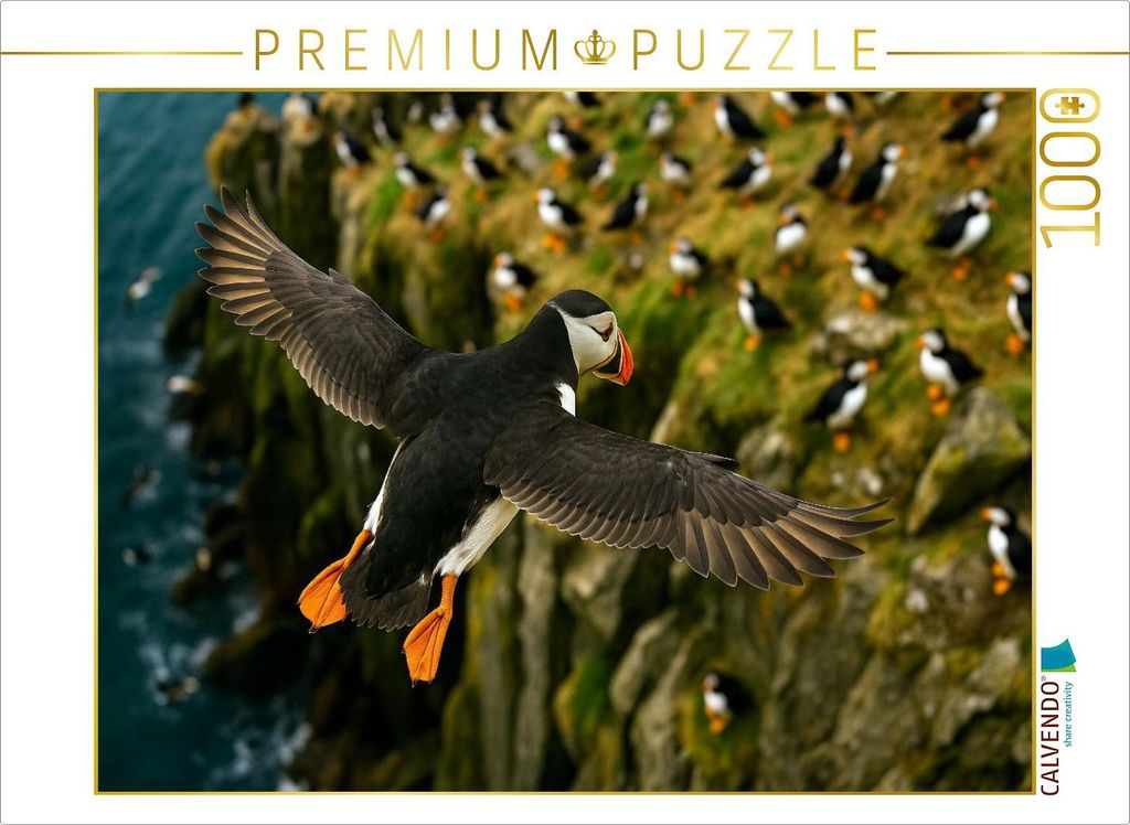 CALVENDO Puzzle Papageitaucher im Flug an der Klippe | 1000 Teile Lege-Größe 64x48cm Foto-Puzzle für glückliche Stunden