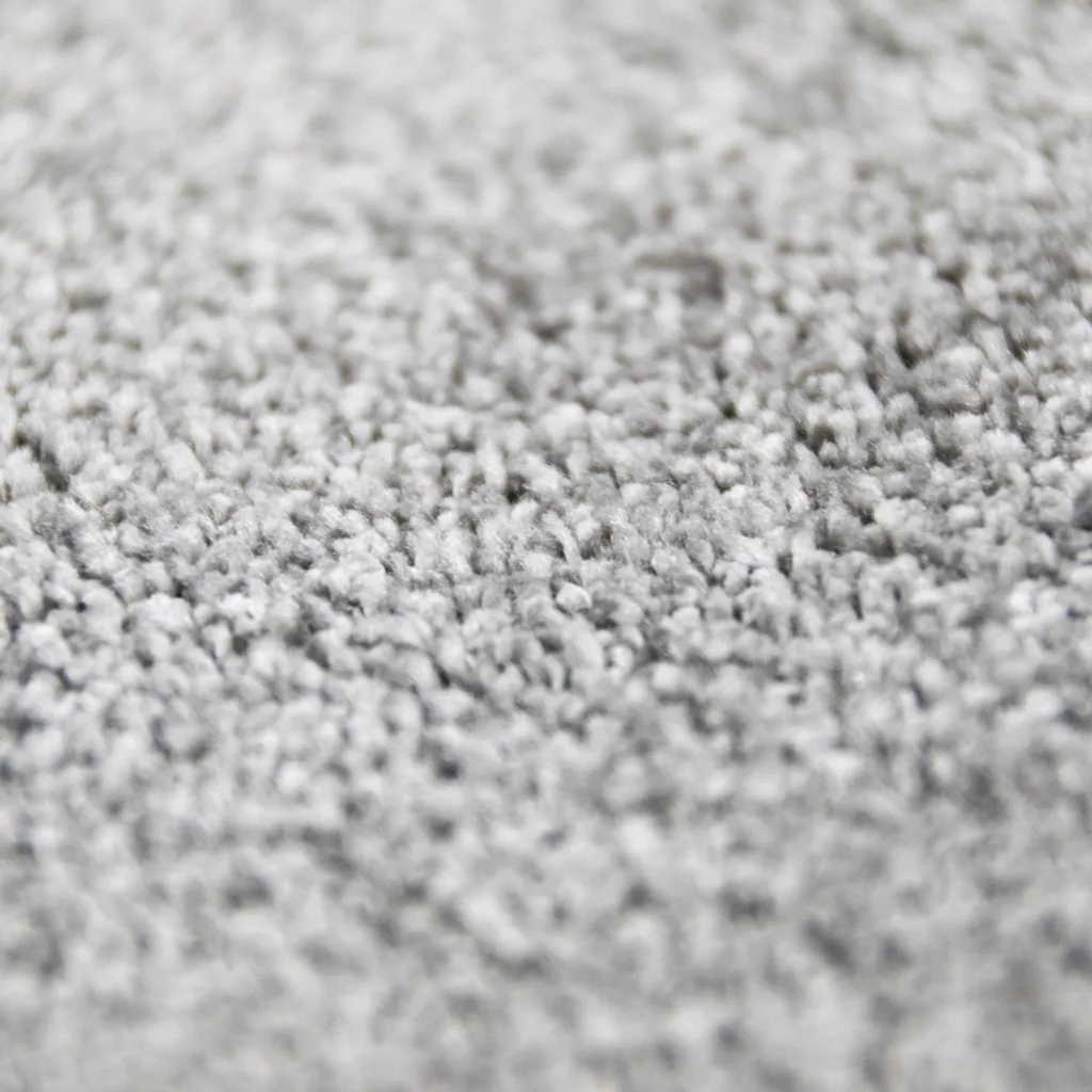 Grand Tapis de Salon Anthracite 200x290 cm Facile à Nettoyer et Durable