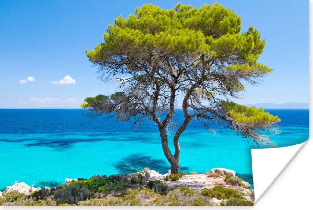 MuchoWow Poster Baum - Meer - Tropisch - Sommer 30x20 cm - Plakate - Print