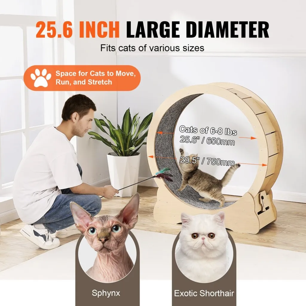 Roue d'exercice chat silencieuse 75cm avec griffoir en sisal durable - 4