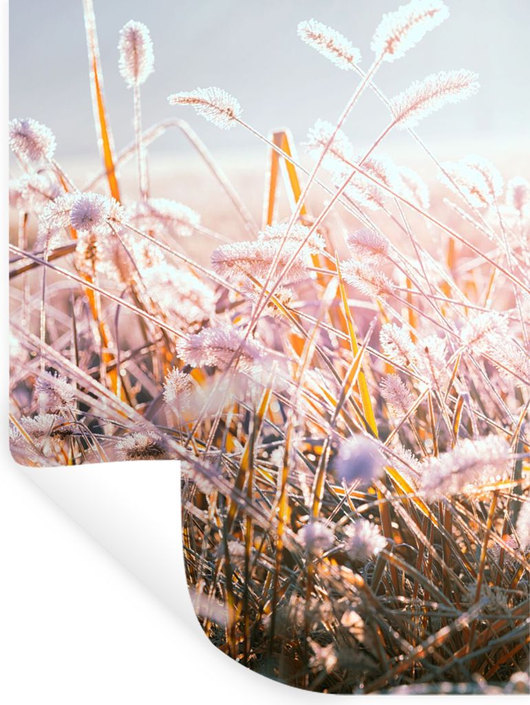 MuchoWow Wandtattoo Wandsticker Wandaufkleber Gras - Sonne - Winter - Schnee 60x80 cm Selbstklebend und Repositionierbar - Repositionierbar - Was...