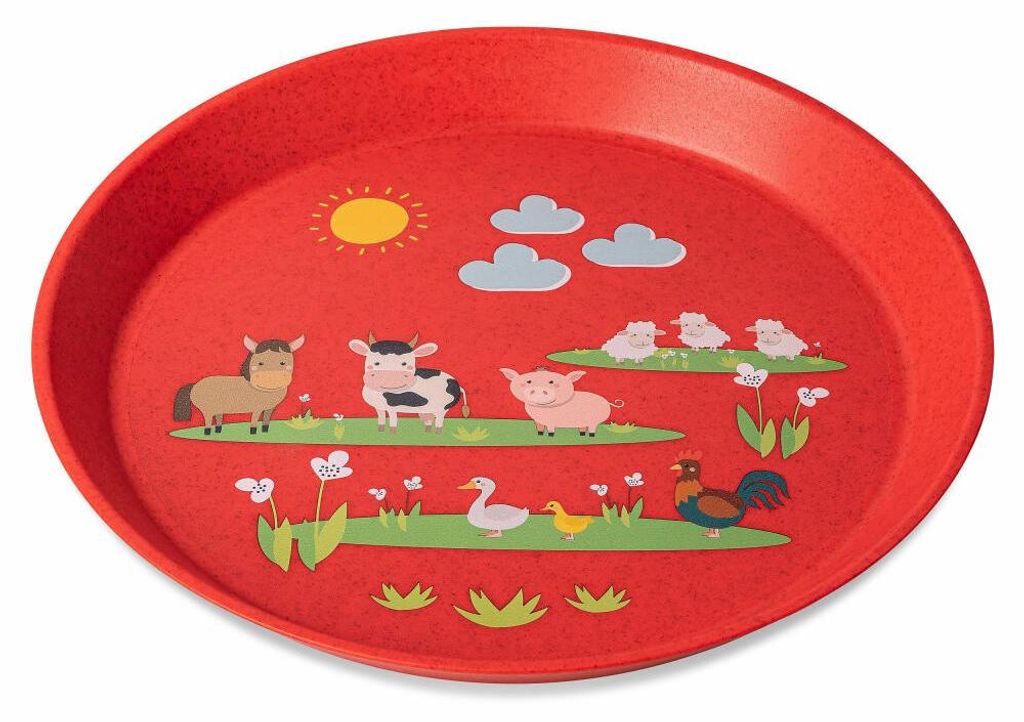 Koziol Connect Plate Farmářský talíř, talíř na jídlo, Obrázek produktu 