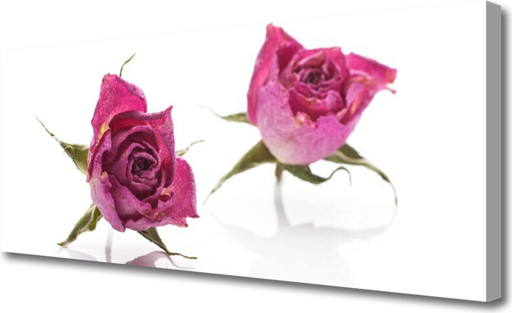 Tulup Leinwand-Bilder 125x50 Wandbild Canvas Kunstdruck Rosen Pflanzen