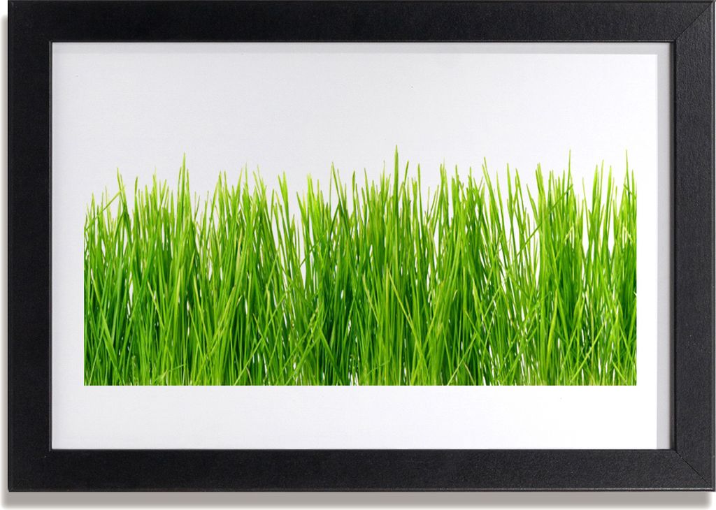 Bild 30x20 MDF-Rahmen Wandkunst Gras Natur Pflanze Produktbild 