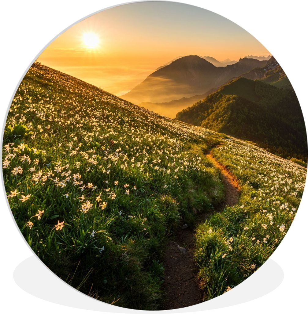 MuchoWow® Rundes Wandbild - Runde Bilder Blumen - Sonne - Produktbild 