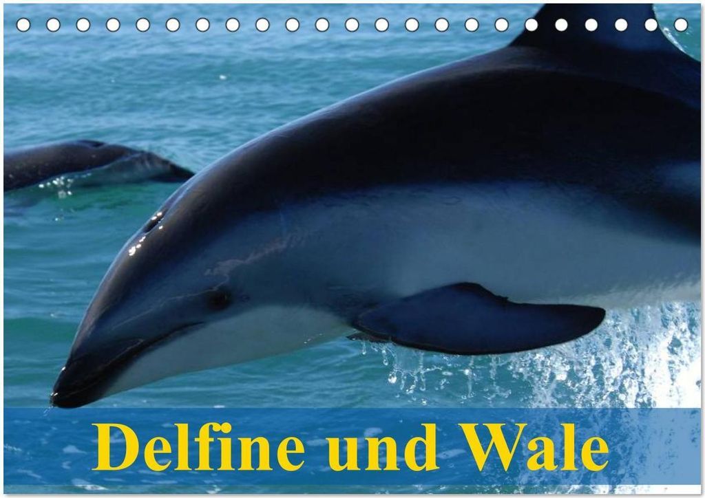 Delfine und Wale (Tischkalender 2026 DIN A5 quer), CALVENDO Monatskalender