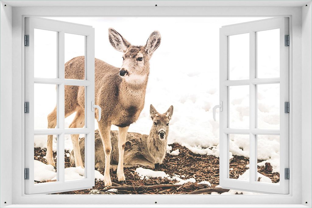 Wallario Outdoor-Poster für Garten oder Balkon 61 x 91,50 cm: Junge Elche im Schnee in Arizona - Amerika