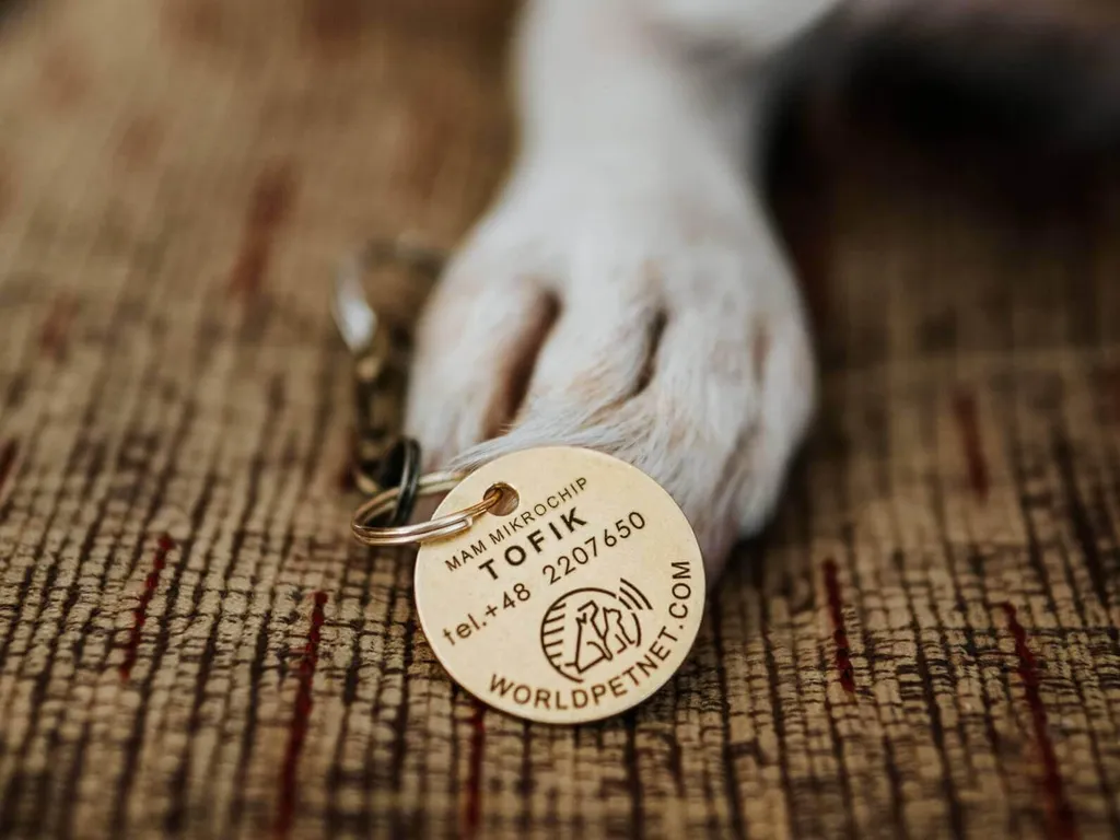Pendentif QR Code Intelligent pour Chien et Chat en Acier Haute Qualité