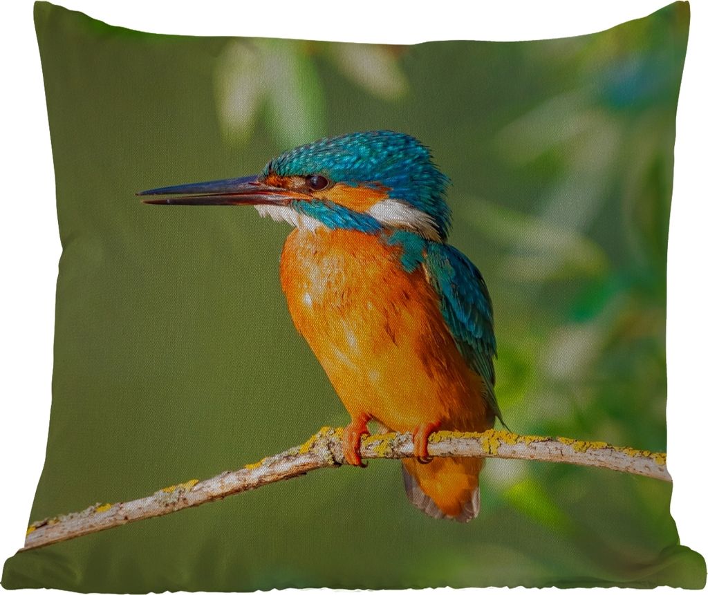 MuchoWow Outdoor Kissen - Vogel - Eisvogel - Zweig - Blätter - Moos - 60x60 cm - Wetterfest - Lounge Kissen - Dekoration - Schlaf Kissen