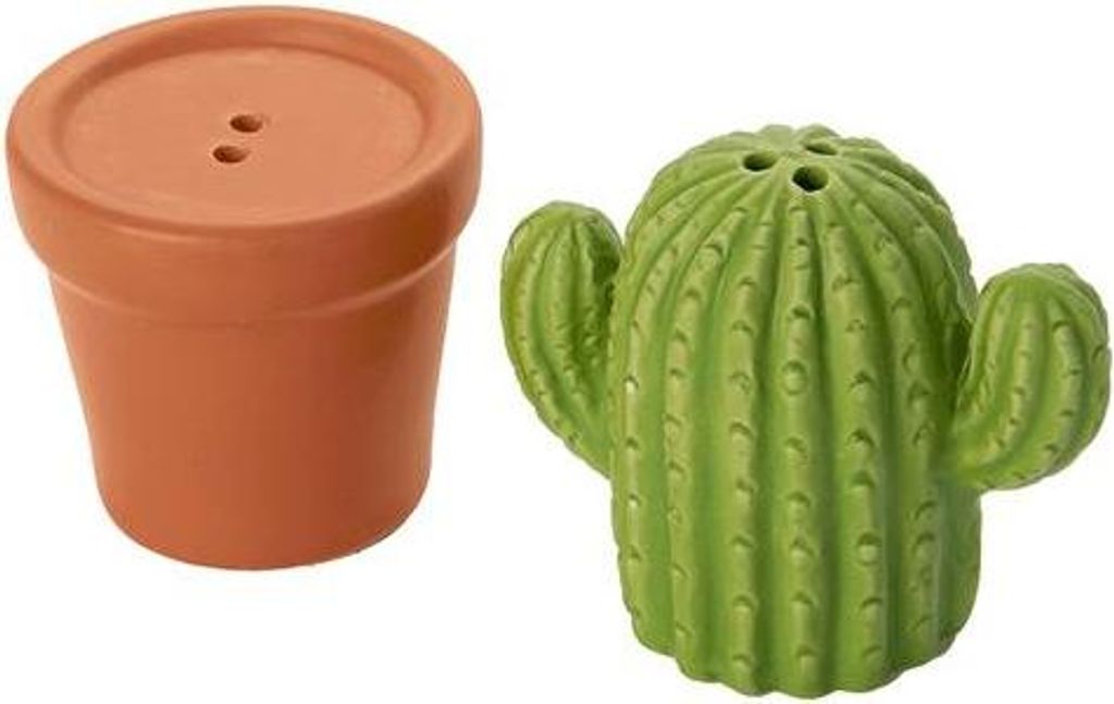 Salz- und Pfefferstreuer-Set in Kaktusform