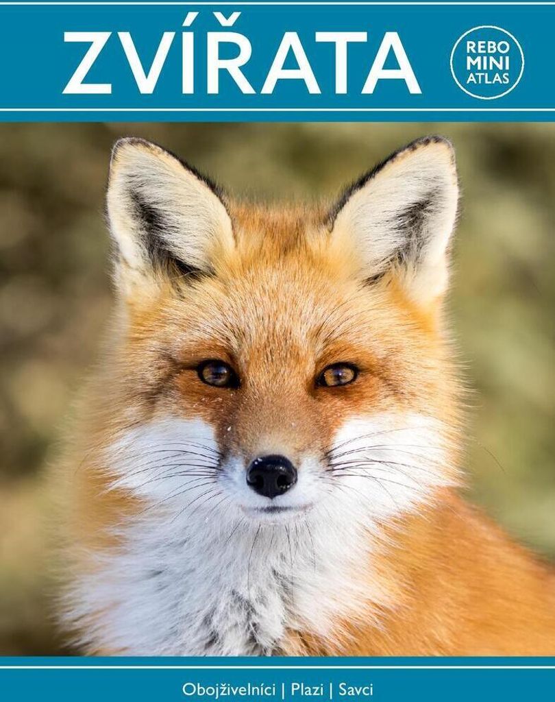 Zvířata | Marianne Taylor