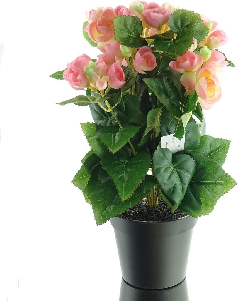 GASPER Elatior-Begonie Rosa im schwarzen Topf 38 cm - Kunstblumen