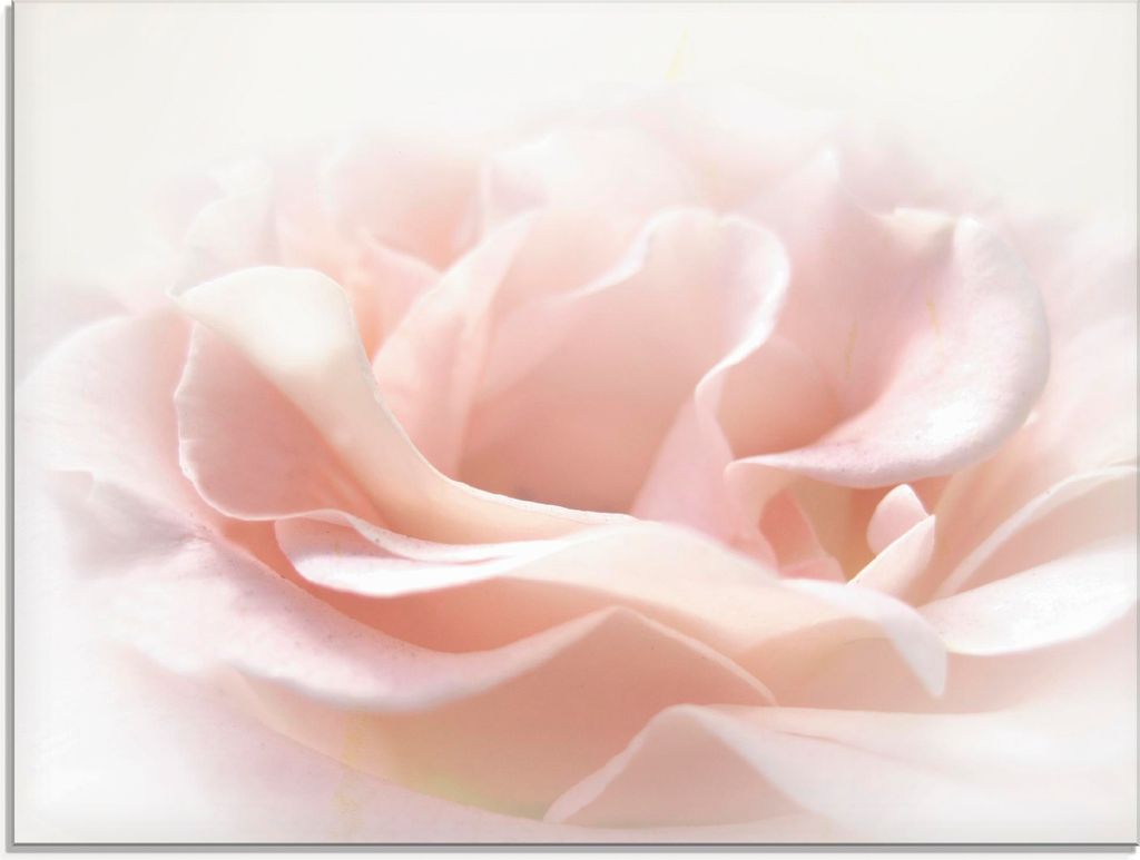 ARTland Glasbild Rose I Größe: 60x45 cm