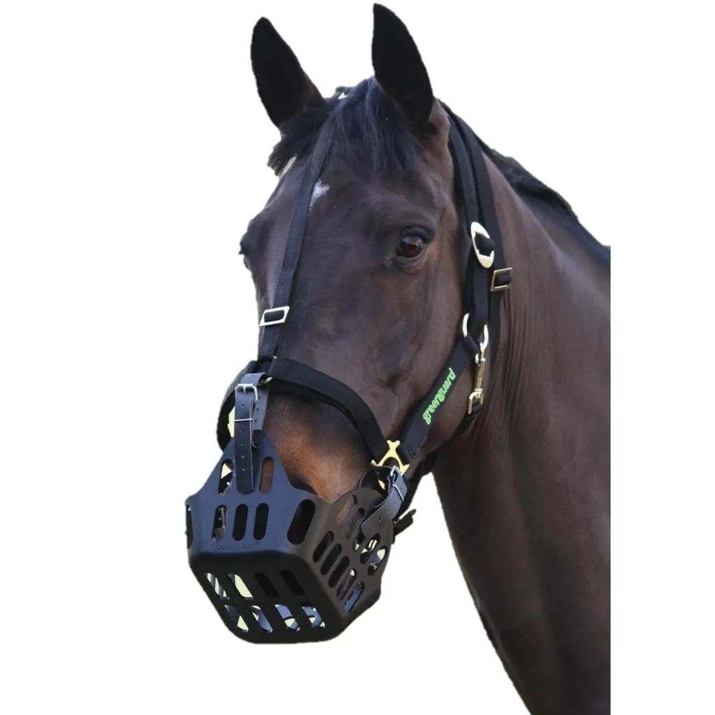 Licol GreenGuard ER948 Noir pour Petit Poney - Ajustement de Précision