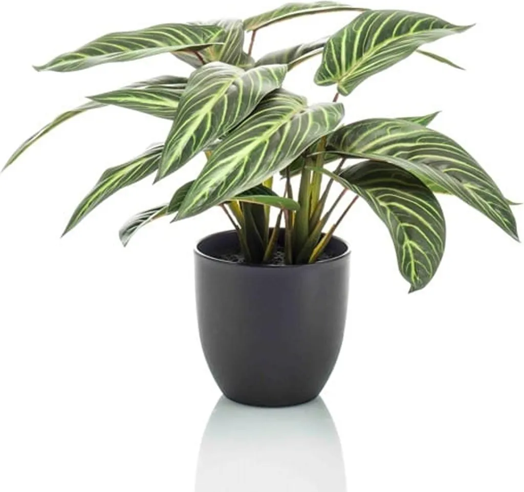 Calathea Zebrina avec motif zébré réaliste - Plante factice de 42 cm