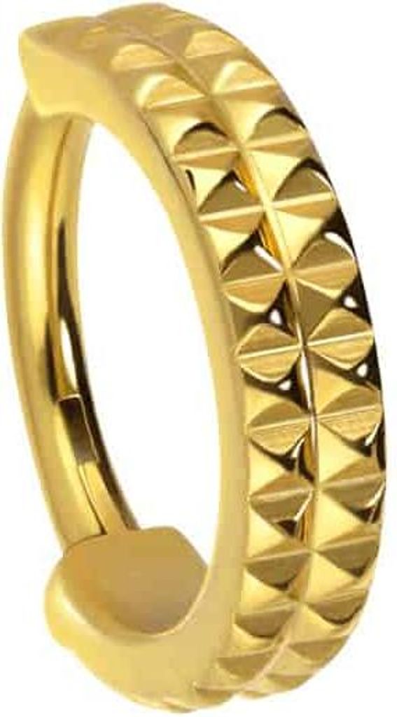 Ohrpiercing, Nasenpiercing, Septum Piercing Titan Segmentring Clicker NIETEN Gold Innendurchmesser: 8 mm