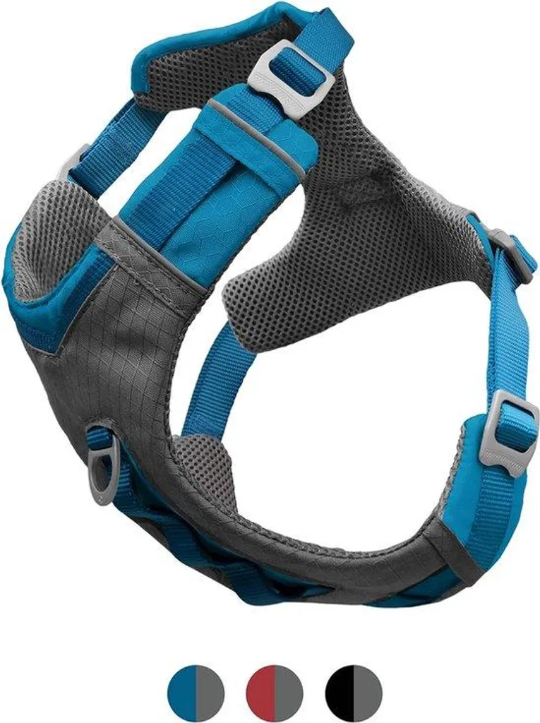Laisse de jogging pour chien actif avec collier confort spécial randonnée