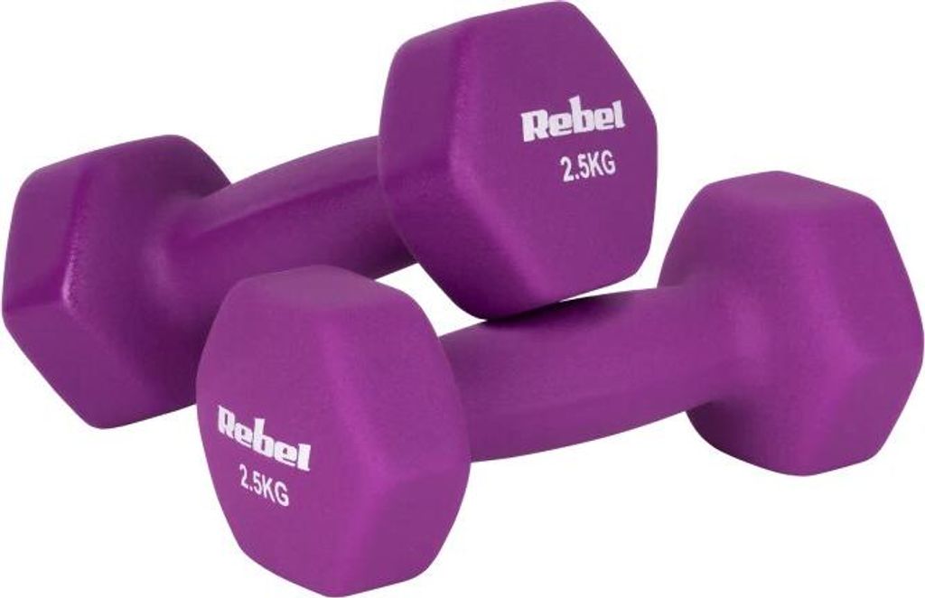Sada čink Rebel Active RBA-2330-2.5, 2 x 2.5 kg, liatina s Obrázok produktu 