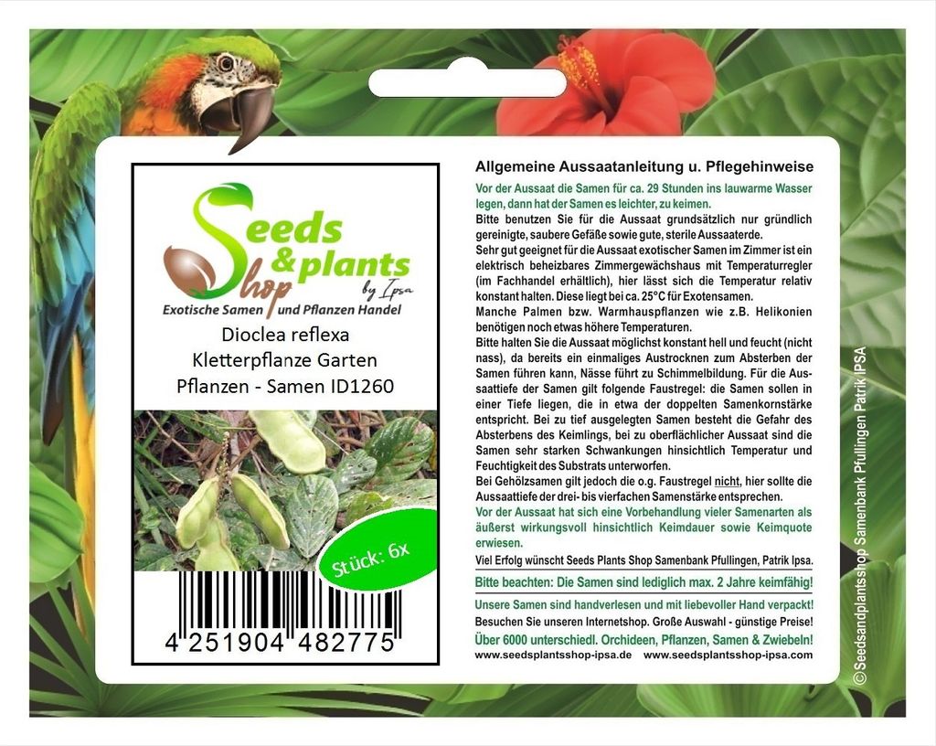 6x Dioclea reflexa Kletterpflanze Garten Pflanzen - Samen ID1260