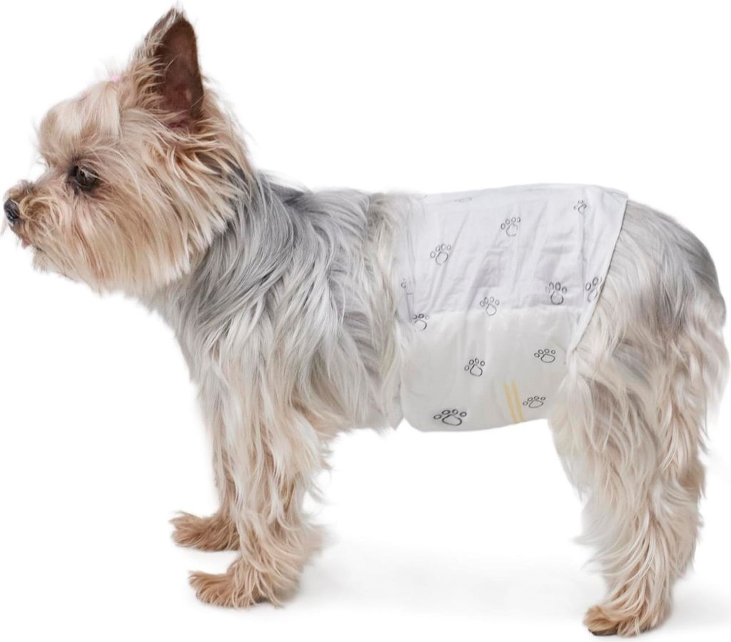 A. Basics Hundewindel für Rüden, Einwegwindeln, Größe XS, Produktbild 