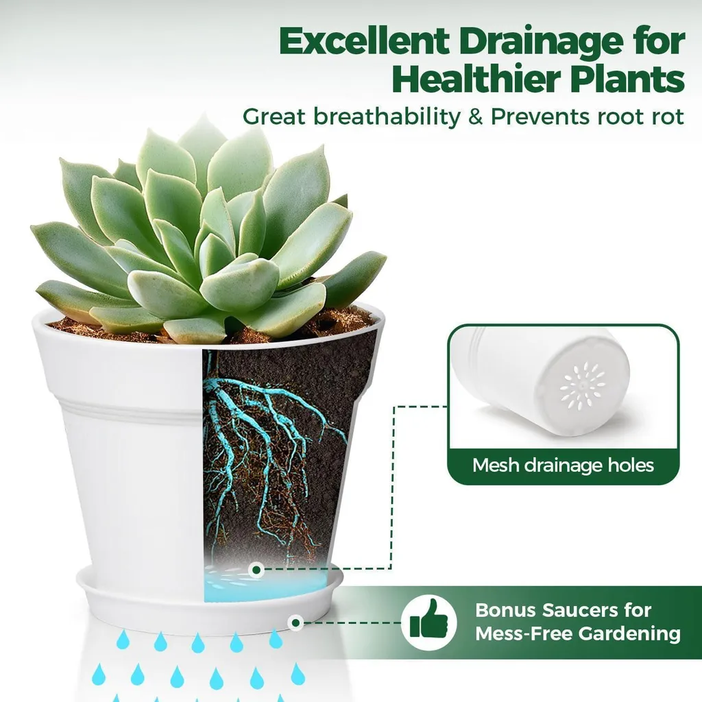 Pot de Fleurs pour Succulentes et Cactus 16cm Blanc - Set de 6 pcs - 3