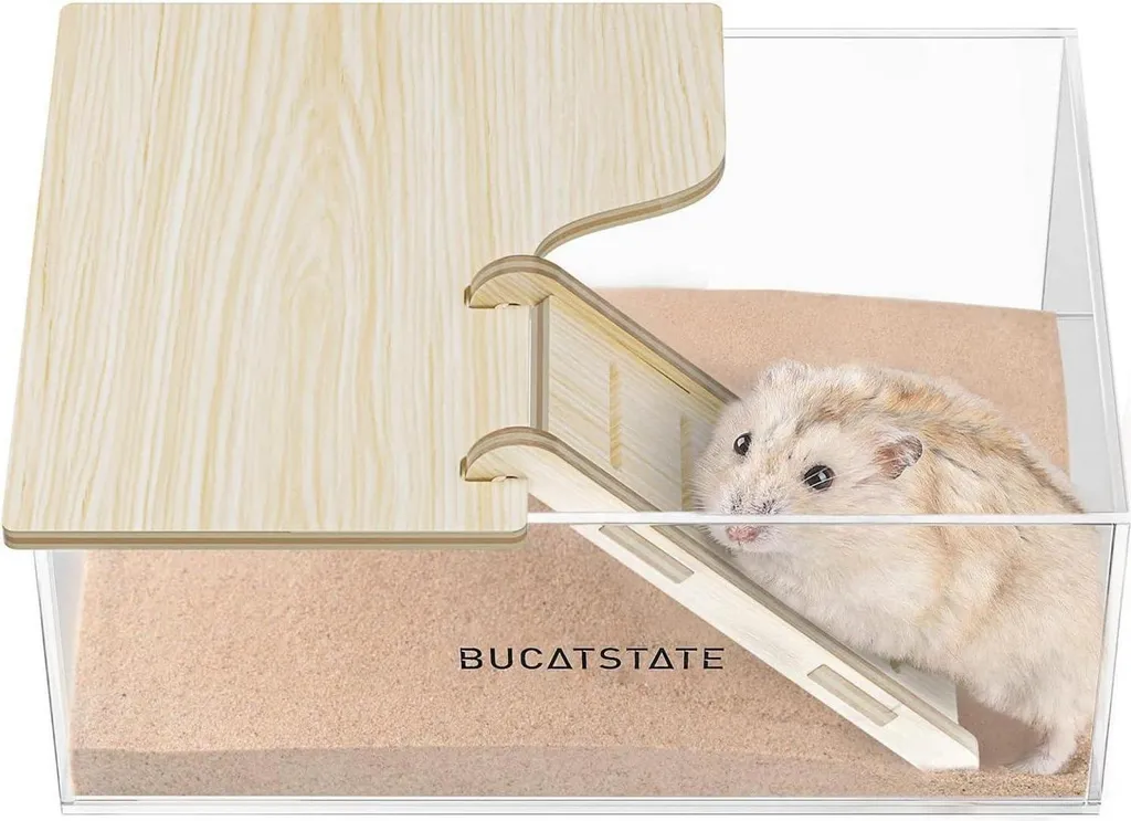 Accessoire bain de sable hamster en acrylique avec échelle pour cage 8cm