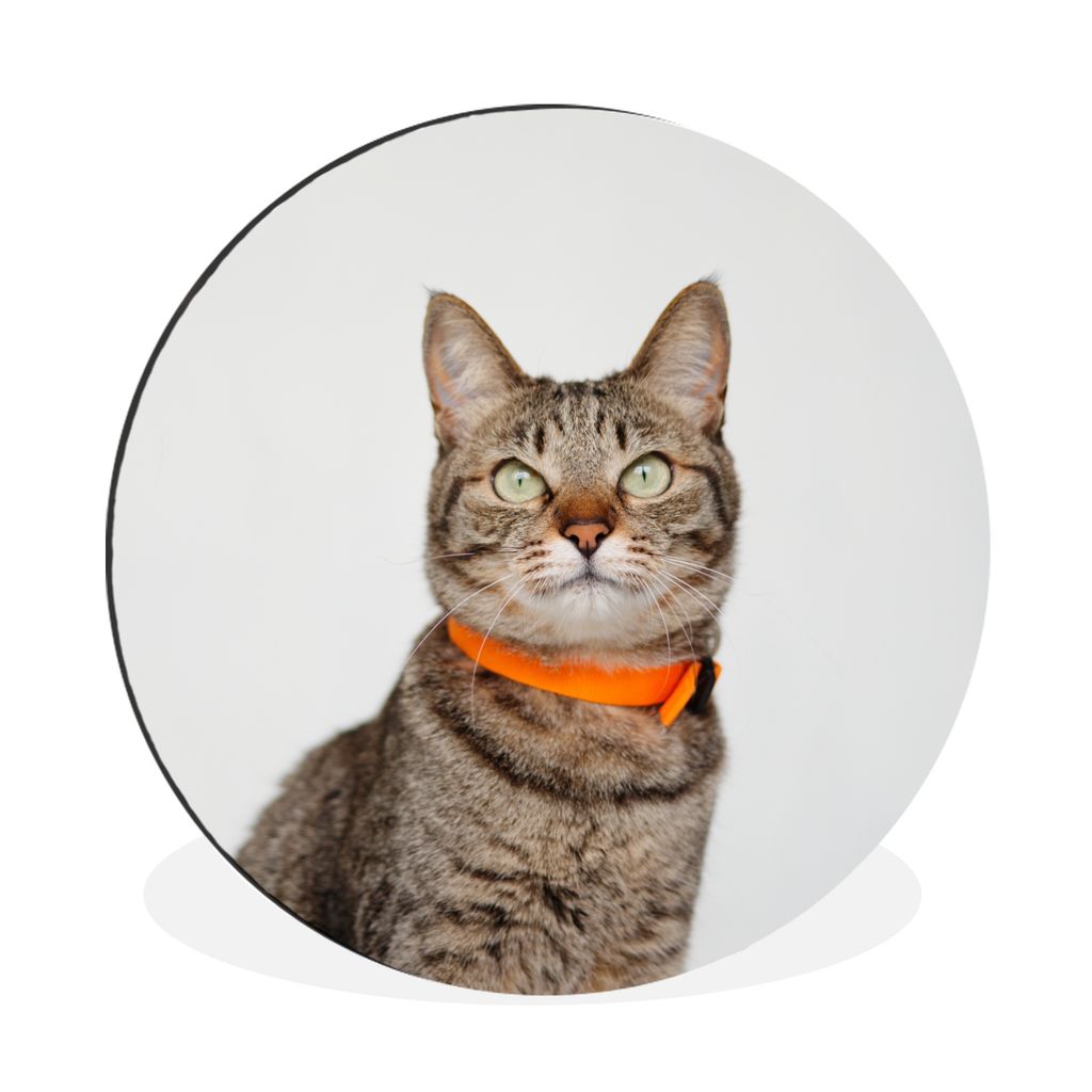MuchoWow Aluminium Wandkreis Katze - Halskette - Orange - Mädchen - Kinder - Jungen - Kinder Ø 30 cm Wanddeko Modern Wohnzimmer - Wand Bild - W...
