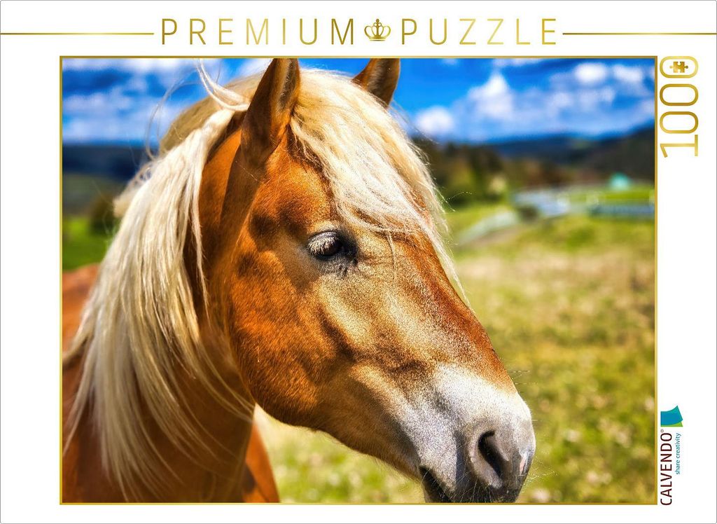 CALVENDO Puzzle Haflinger Stute | 1000 Teile Lege-Größe 64x48cm Foto-Puzzle für glückliche Stunden