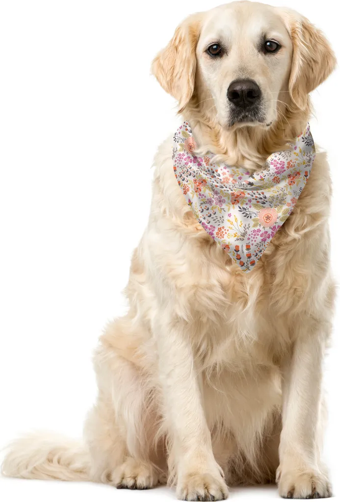 ABAKUHAUS Bandana Cani Fiori 55x55 cm Pale Eggshell per Taglia Media